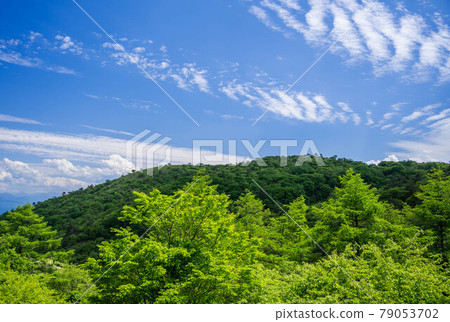 初夏的高寶池高原風光 初夏的高寶池高原風光 79053702