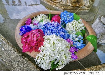 Hanatemizu Hanatemizu 79053749