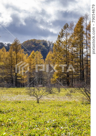 Senjogahara / Odashirogahara Senjogahara / Odashirogahara 79054679