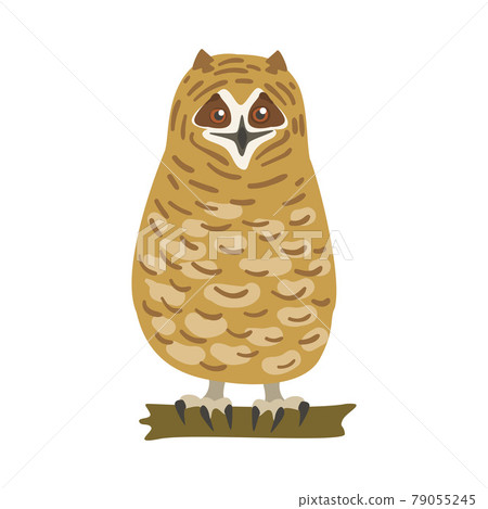 Perching Owl Bird with Broad Head and Sharp Talons Having Upright Stance Vector Illustration 79055245