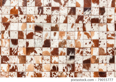 Animal Skin Fur Hides Squares Closeup Detail 79055777