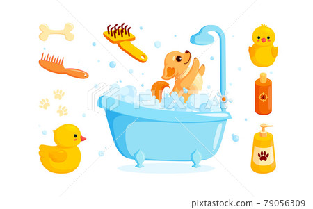 Dog grooming in a bath with pet shampoo, combs and rubber ducks. Playful chihuahua puppy in soap foam isolated in white background. Vector illustration 79056309
