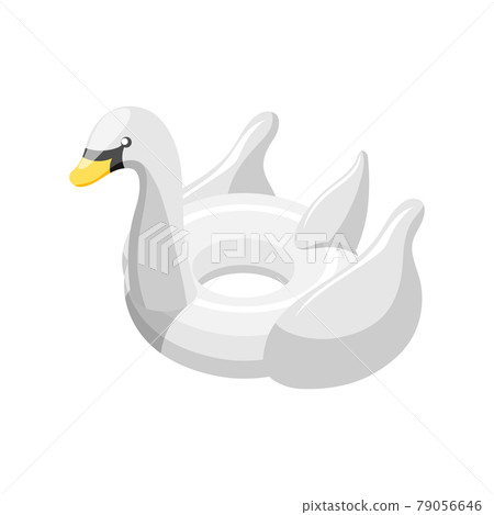 Swimming Ring Illustration 79056646