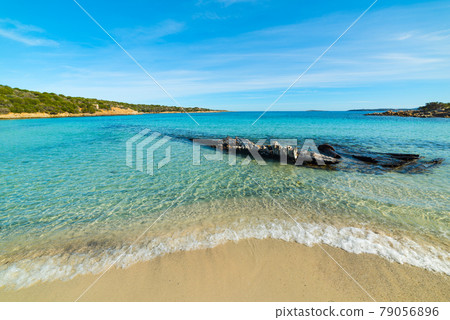 Andreani cove in Caprera island Andreani cove in Caprera island 79056896