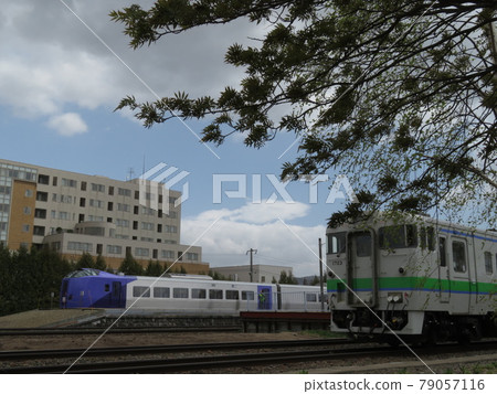 JR北海道薰衣草編隊 JR北海道薰衣草編隊 79057116
