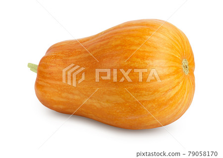 butternut squash isolated on white background with clipping path and full depth of field butternut squash isolated on white background with clipping path and full depth of field 79058170