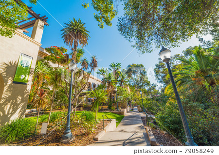 Walk path in Balboa Park in San Diego Walk path in Balboa Park in San Diego 79058249