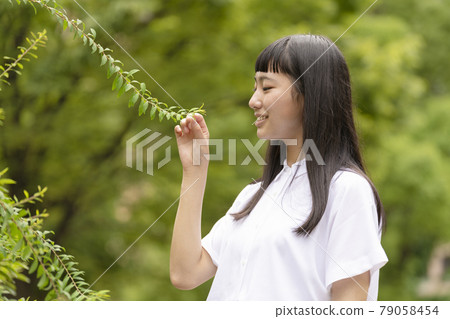 生態形象葉手女孩 79058454