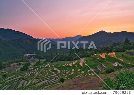 【丸山千葉（傍晚）】三重縣熊野市基和町丸山 79059238