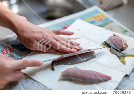 魚類分類準備 79059276