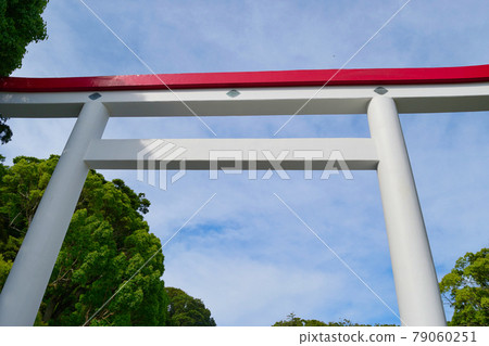 Beautiful torii gate of Kamakuragu (Kamakura City, Kanagawa Prefecture) 79060251