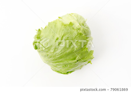 lettuce lettuce 79061869