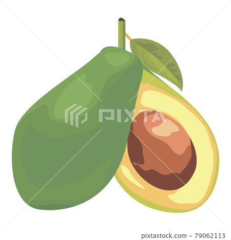 Two halves of avocado vector illustration 79062113