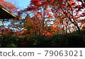 Kyoto Arashiyama Okochi Sanso Kyoto Arashiyama Okochi Sanso 79063021