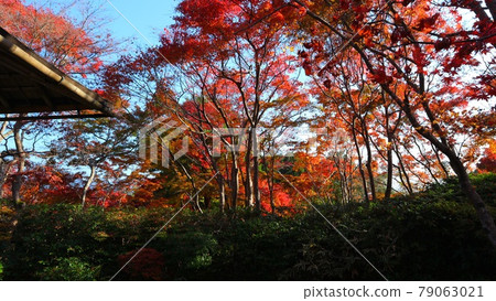 Kyoto Arashiyama Okochi Sanso Kyoto Arashiyama Okochi Sanso 79063021