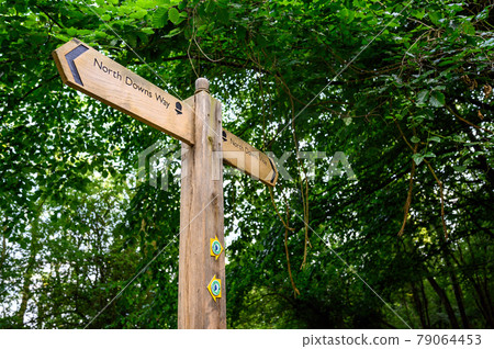 A sign on the North Downs Way near Woldingham in Surrey, England, UK. The North Downs is part of the Surrey Hills Area of Outstanding Natural Beauty. The North Downs Way is a national trail. 79064453