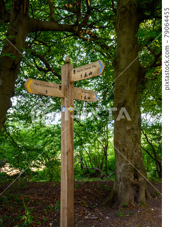 A sign on the North Downs Way near Woldingham in Surrey, England, UK. The North Downs is part of the Surrey Hills Area of Outstanding Natural Beauty. The North Downs Way is a national trail. A sign on the North Downs Way near Woldingham in Surrey, England, UK. The North Downs is part of the Surrey Hills Area of Outstanding Natural Beauty. The North Downs Way is a national trail. 79064455