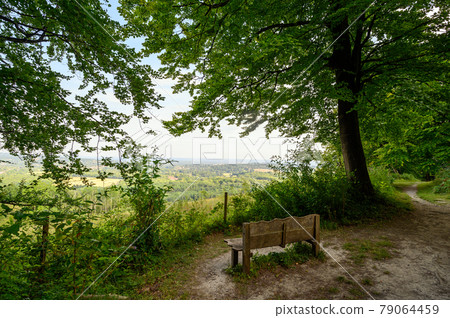 A viewpoint on the North Downs Way near Woldingham in Surrey, England, UK. The North Downs is part of the Surrey Hills Area of Outstanding Natural Beauty. The North Downs Way is a national trail. 79064459