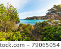 Plants by the sea in Spalmatore beach 79065054