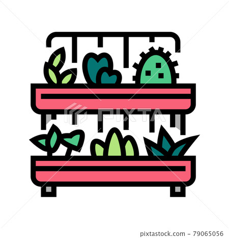 domestic plant in pot color icon vector illustration 79065056