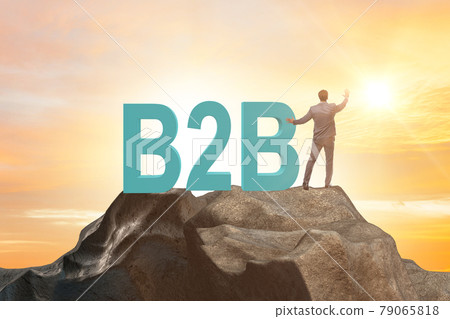 Business to business concept with businessman Business to business concept with businessman 79065818