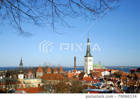 View over the Old Town of Tallinn showing the old buildings. The tall spire is St. Olaf's Church and part of the old city wall of Tallinn is visible. View over the Old Town of Tallinn showing the old buildings. The tall spire is St. Olaf's Church and part of the old city wall of Tallinn is visible. 79066334