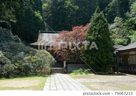 和歌山縣高野町高野山金剛三門院本堂 79067213