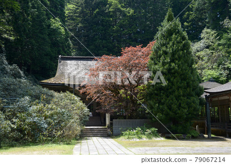 和歌山縣高野町高野山金剛三門院本堂 79067214