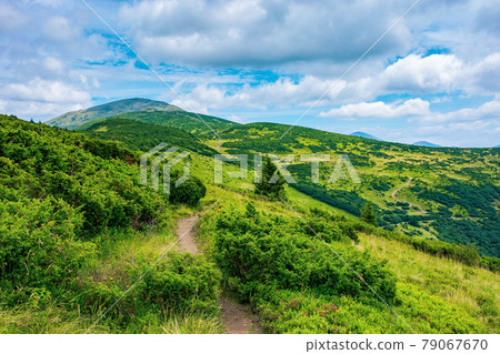 trail uphill the alpine meadow to the distant summit. beautiful mountain landscape in summertime. clouds on the sky. travel countryside concept trail uphill the alpine meadow to the distant summit. beautiful mountain landscape in summertime. clouds on the sky. travel countryside concept 79067670