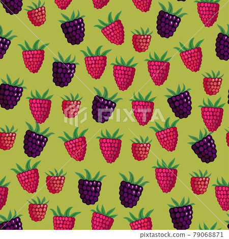Seamless pattern with garden and wild raspberries 79068871