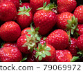 Close-up of Freshly Harvested Strawberries 79069972