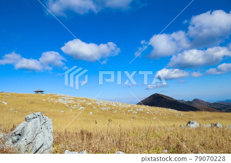 高知縣天狗高原 79070228