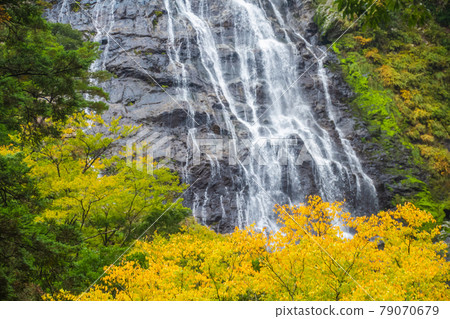 三重縣大杉屋市千比路瀑布 三重縣大杉屋市千比路瀑布 79070679