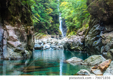 三重縣大杉屋市新淵 79071856