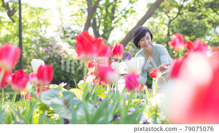 Middle senior women enjoying Yokohama Life tile Middle senior women enjoying Yokohama Life tile 79075076