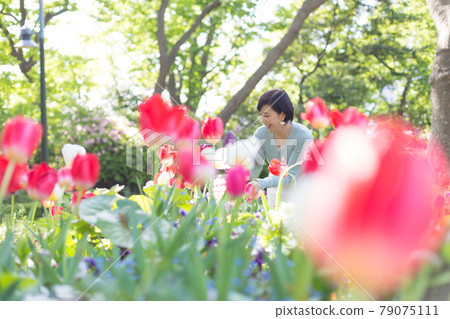Middle senior women enjoying Yokohama Life tile Middle senior women enjoying Yokohama Life tile 79075111