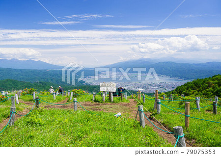 初夏的高寶池花田 初夏的高寶池花田 79075353