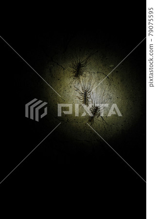 Gejigeji that emerges in the darkness Gejigeji that emerges in the darkness 79075595