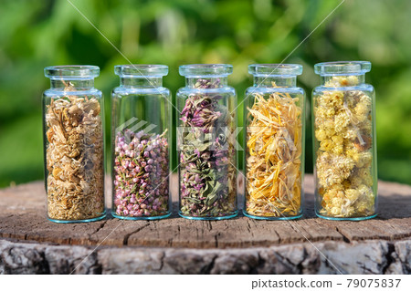Glass bottles of medicinal herbs - daisies, heather, wild marjoram, calendula, helichrysum outside. Alternative medicine. Glass bottles of medicinal herbs - daisies, heather, wild marjoram, calendula, helichrysum outside. Alternative medicine. 79075837