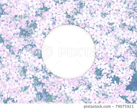 粉色花卉圖案和珍珠圓框背景 79075921