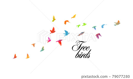 A flock of colorful birds. Vector illustration 79077280