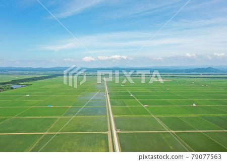 初夏鄉村鳥瞰圖 初夏鄉村鳥瞰圖 79077563
