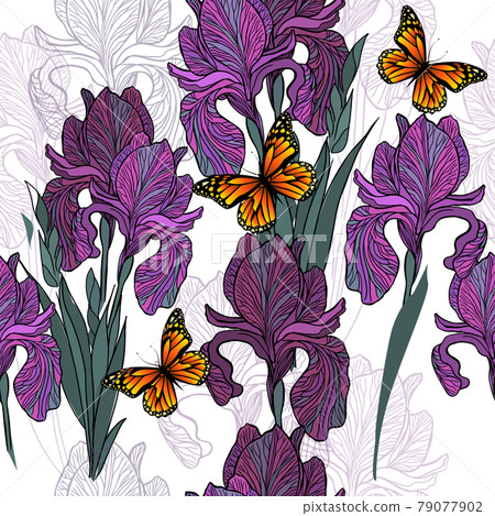 A seamless background of irises and butterflies. Vector illustration 79077902