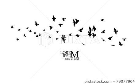 A flock of flying birds. Vector illustration 79077904
