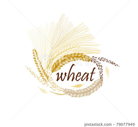 Abstract background with ears of wheat. Vector illustration Abstract background with ears of wheat. Vector illustration 79077949