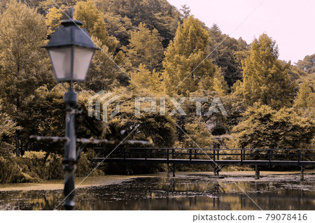Karuizawa Lake Reman 79078416