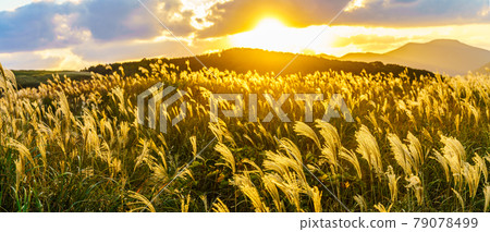 Kawachi Toge Pass and Autumn Scenery Panorama [Hirado City, Nagasaki Prefecture] 79078499