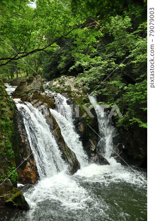 Misuji Falls [Shigaraki Town, Koka City, Shiga Prefecture] 79079003