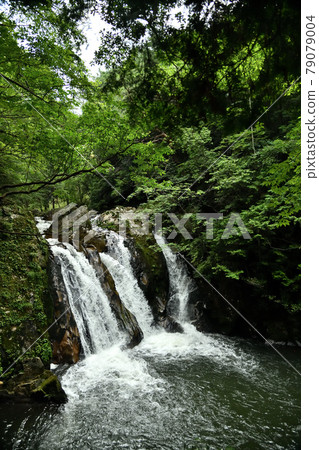 Misuji Falls [Shigaraki Town, Koka City, Shiga Prefecture] 79079004