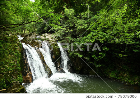 Misuji Falls [Shigaraki Town, Koka City, Shiga Prefecture] 79079006